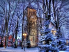 Zima, Kościół, Drzewa