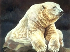 Niedźwiedź, Polarny, Malarstwo