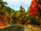 Droga, Zakręt, Drzewa, Jesień
