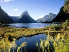 Jezioro, Góry, Roślinność, Milford, Nowa Zelandia