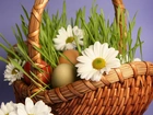Wielkanoc, Koszyk, Jajka, Margerytki