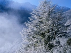 Góry, Drzewa, Chmury, Zima