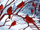Gałęzie, Ptaki, Kardynały, Zima
