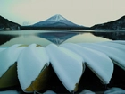 Zima, Jezioro, Góra, Fuji, Japonia
