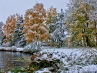 Zima, Jezioro, Drzewa