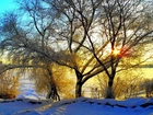 Rzeka, Drzewa, Promienie, Słońca, Zima