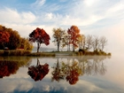 Jesień, Jezioro, Drzewa