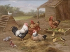 Kury, Kurczaki, Kogut, Edgar Hunt