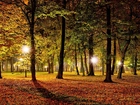 Jesienny, Park, Oświetlenie