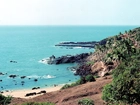 Morze, Roślinność, Goa, Indie
