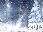 Drzewa, Śnieg, Zima, Nowy, Rok