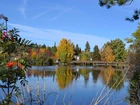 Jezioro, Most, Drzewa, Jesień