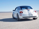 Volkswagen New Beetle