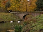 Park, Rzeka, Most, Łabędzie