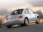 New Beetle, Srebrny