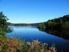 Jezioro, Lasy, Zarośla