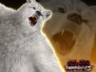 Tekken 5 Dark Ressurection, Kuma