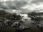 Powódź, Słonie, Drzewa, Chmury