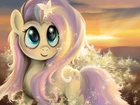 My Little Pony Przyjaźń To Magia, Fluttershy