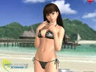 Dead Or Alive Xtreme 2, Lei Fang