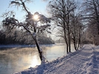 Rzeka, Drzewa, Śnieg, Zima