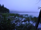 Jezioro, Roślinność, Acadia, Maine