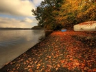 Jezioro, Plaża, Jesień