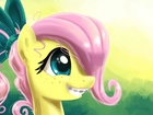 My Little Pony Przyjaźń To Magia, Fluttershy