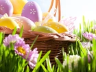 Koszyk, Jajka, Wielkanoc