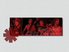 Red Hot Chili Peppers,zespół, koncert, gitara