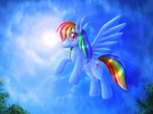 My Little Pony Przyjaźń To Magia, Rainbow Dash