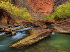 Rzeka, Skały, Drzewa, Zion, Utah