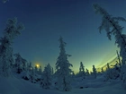 Zmierzch, Drzewa, Śnieg