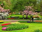 Park, Kwiaty, Klomby, Drzewa