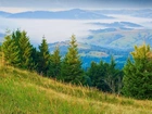 Góry, Lasy, Mgła, Panorama