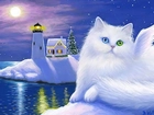 Biały, Kot, Kolorowe, Oczy, Boże, Narodzenie, Latarnia, Morska