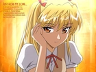 School Rumble, blond włosy, kokarda