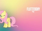 My Little Pony Przyjaźń To Magia, Fluttershy