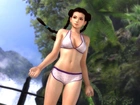 Dead Or Alive 5, Pai