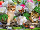 Dwa, Kotki, Motyle, Kwiaty, Piwonie, Lilie, Wodne