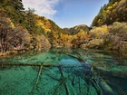 Jezioro, Lasy, Jiuzhaigou, Chiny