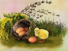 Jajka, Kurczaczek, Wielkanoc