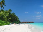 Malediwy, Fihalhohi, Palmy, Plaża, Niebo