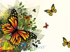 Kolorowe, Motyle, Art