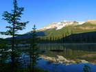 Jezioro, Góry, Drzewa, Alberta, Kanada