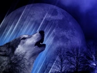 Wilk, Księżyc, Drzewa