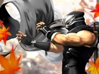 Dead Or Alive Dimension, Ryu Hayabusa