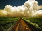 Pole, Ścieżka, Chmury