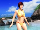 Dead Or Alive 5, Mila