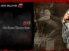 Dead Or Alive 5, Rig